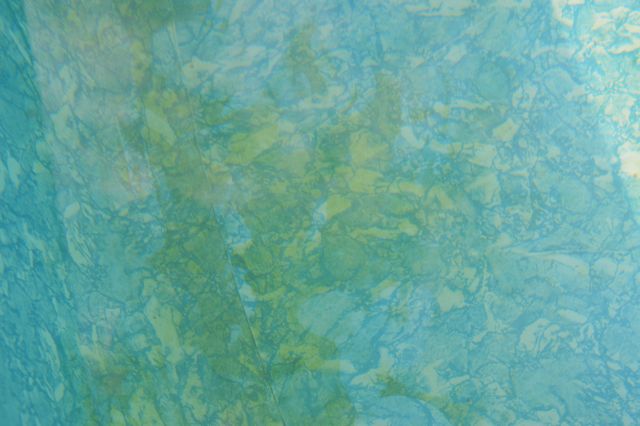 alger i poolen